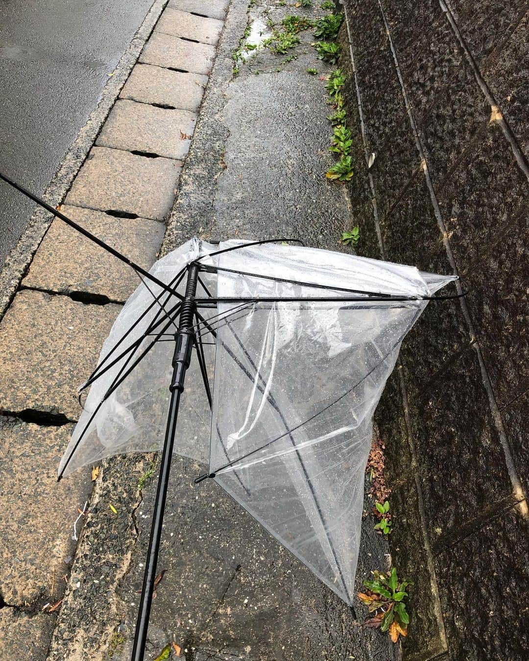 栗田善太郎のインスタグラム：「台風接近中」