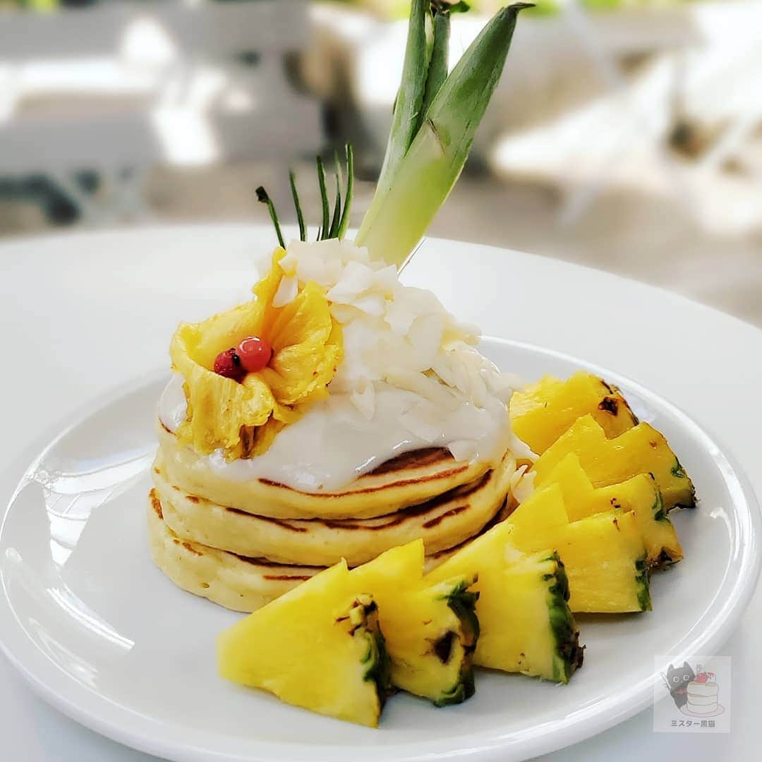 ミスター黒猫（黒猫仙人）のグルメインスタ