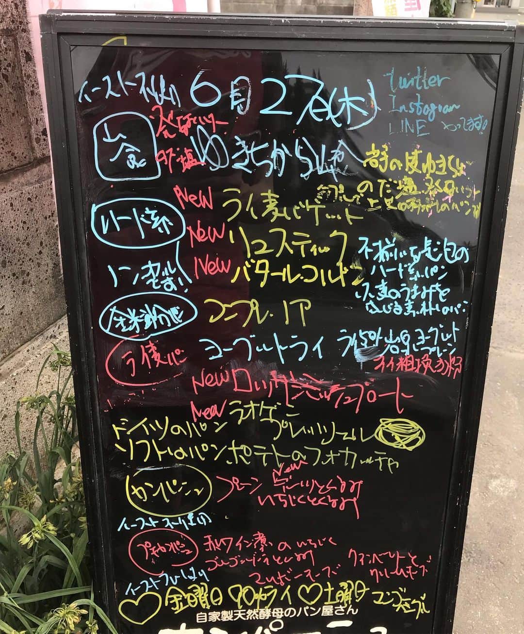 魔女菅原のグルメインスタ