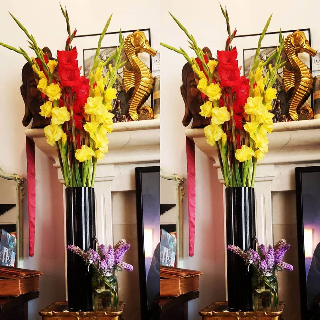 ガソリングラマーさんのインスタグラム写真 - (ガソリングラマーInstagram)「#gladiolus gifts so nice #THANKYOU」6月27日 9時14分 - gasolineglamour