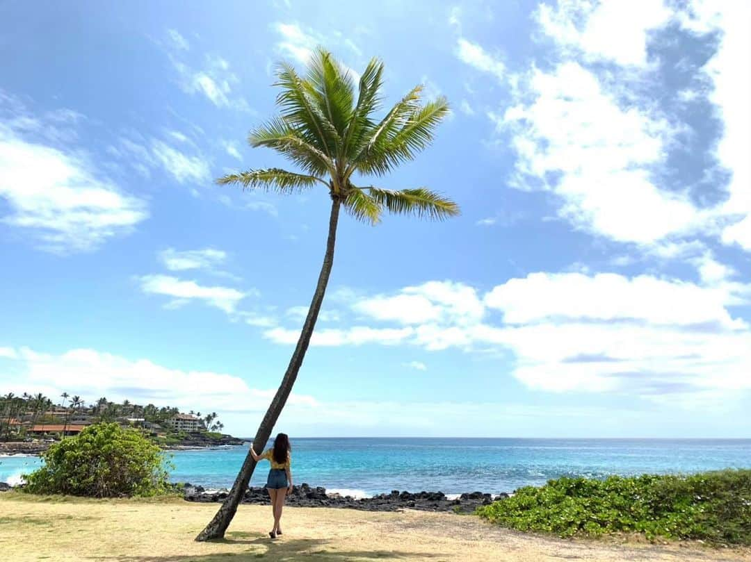 石田ニコルさんのインスタグラム写真 - (石田ニコルInstagram)「ハワイガイドブックの オフショット🌴🌞 #hawaii」6月27日 10時24分 - nicole_ishida