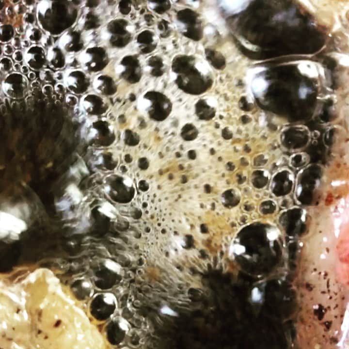 ケリスのインスタグラム：「SIZZLIN' @dartagnanfoods duck breast in it's own fat #itsalifestyle  FOR FULL VIDEO GO TO @bountyandfull」