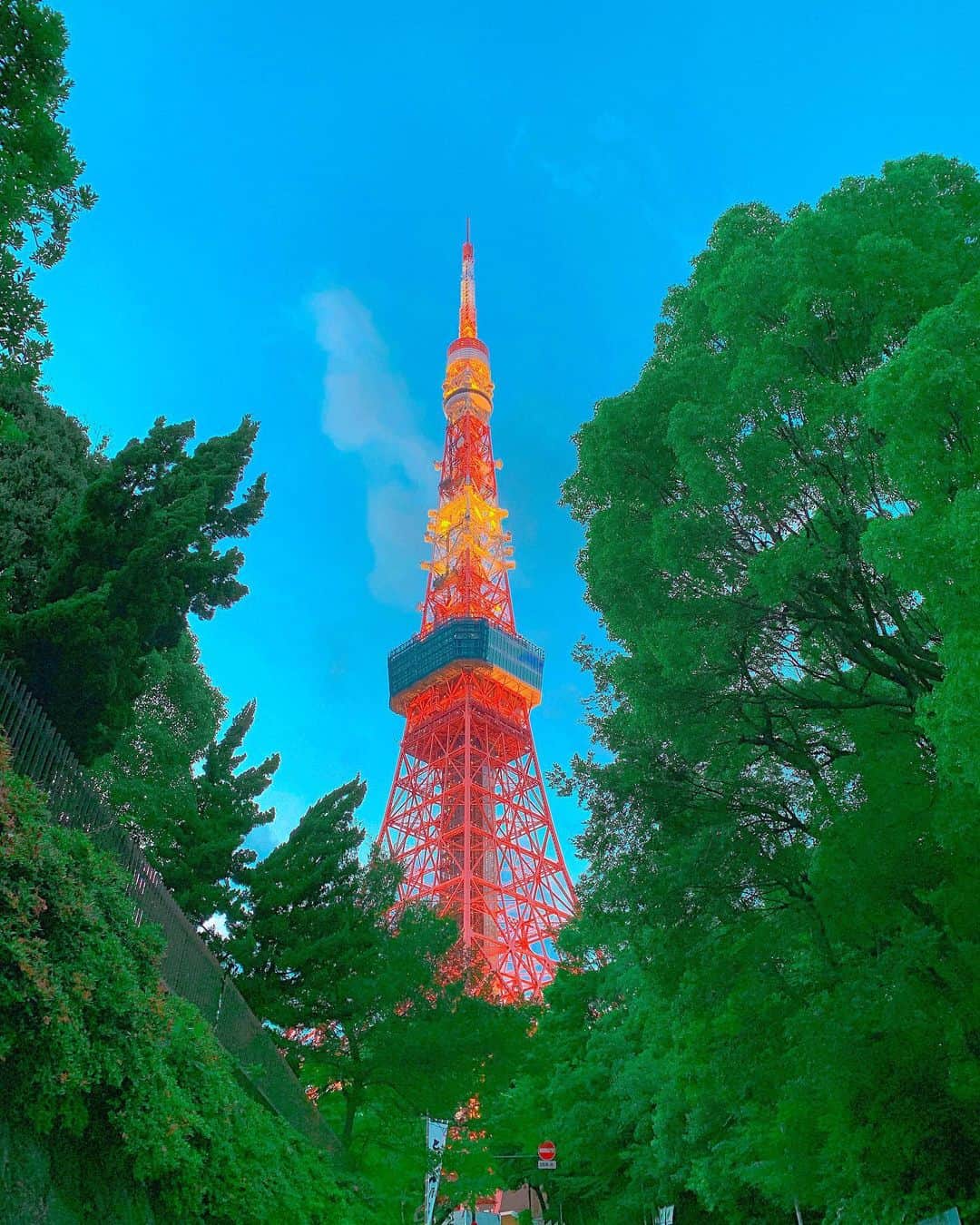 神田咲実さんのインスタグラム写真 - (神田咲実Instagram)「私 あなたの事、結構好きよ🗼🧡 * まだ空が青いのに灯った 東京タワーは 今まで見た中で一番綺麗だったかも✨ この時期限定ですね🌇 * 東京タワー見ると まだうきうきするけど ホッとするようにもなった😌🗼🧡 * 気づけば 東京も長くなりました。 * #tokyotower#東京タワー #sunsettime #tokyo#japan#일본」6月27日 10時56分 - sakimikanda