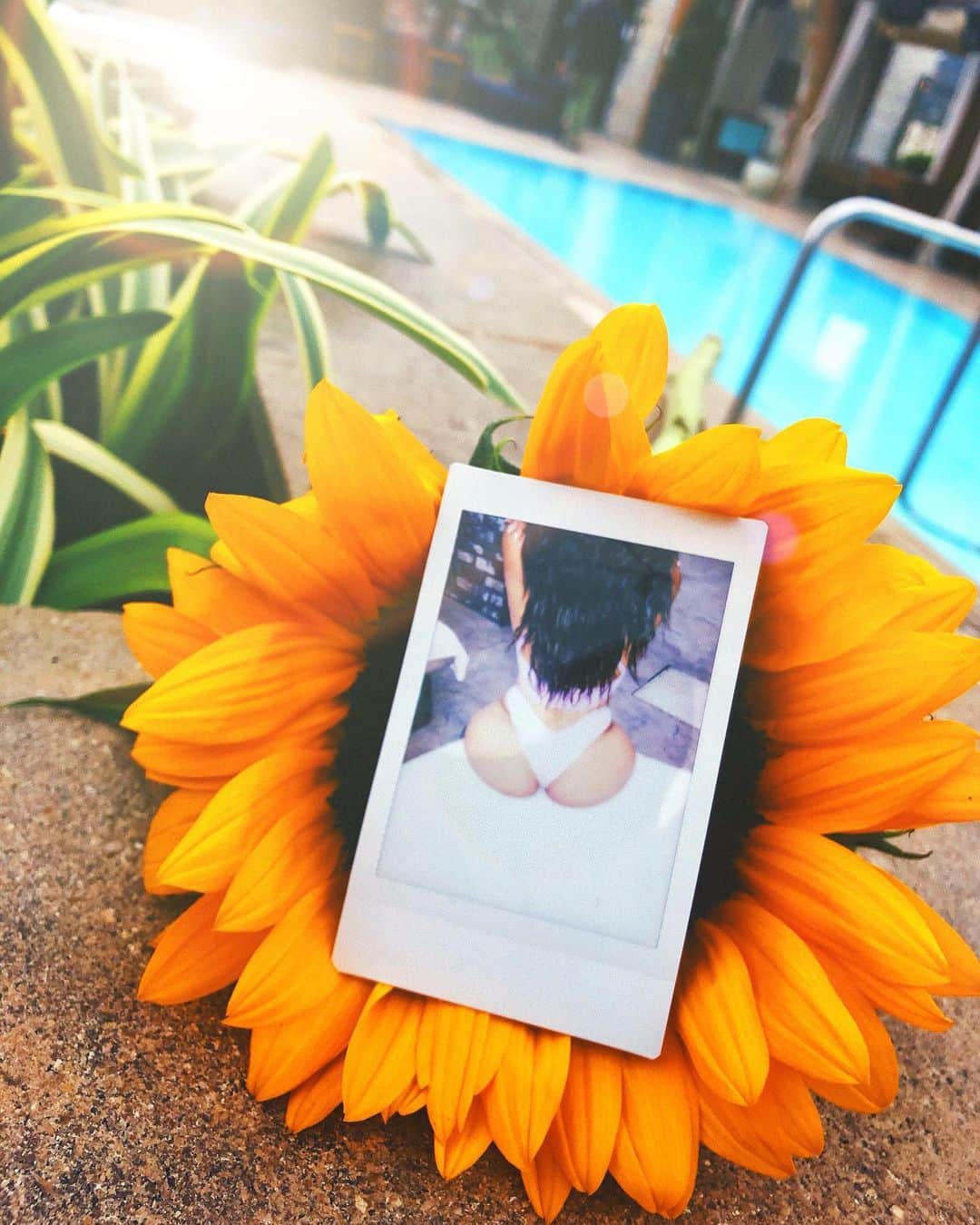 ユリサさんのインスタグラム写真 - (ユリサInstagram)「You're a sunflower, I think your love would be too much🌻  #sunflower #happy #humpday #ひまわりのような人になりたい🌻」6月27日 11時18分 - yurisa