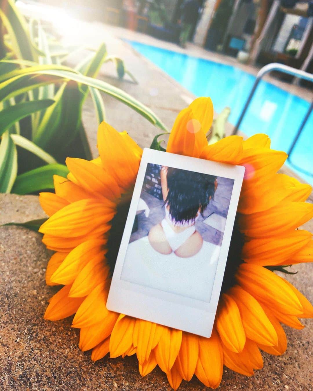ユリサのインスタグラム：「You're a sunflower, I think your love would be too much🌻  #sunflower #happy #humpday #ひまわりのような人になりたい🌻」
