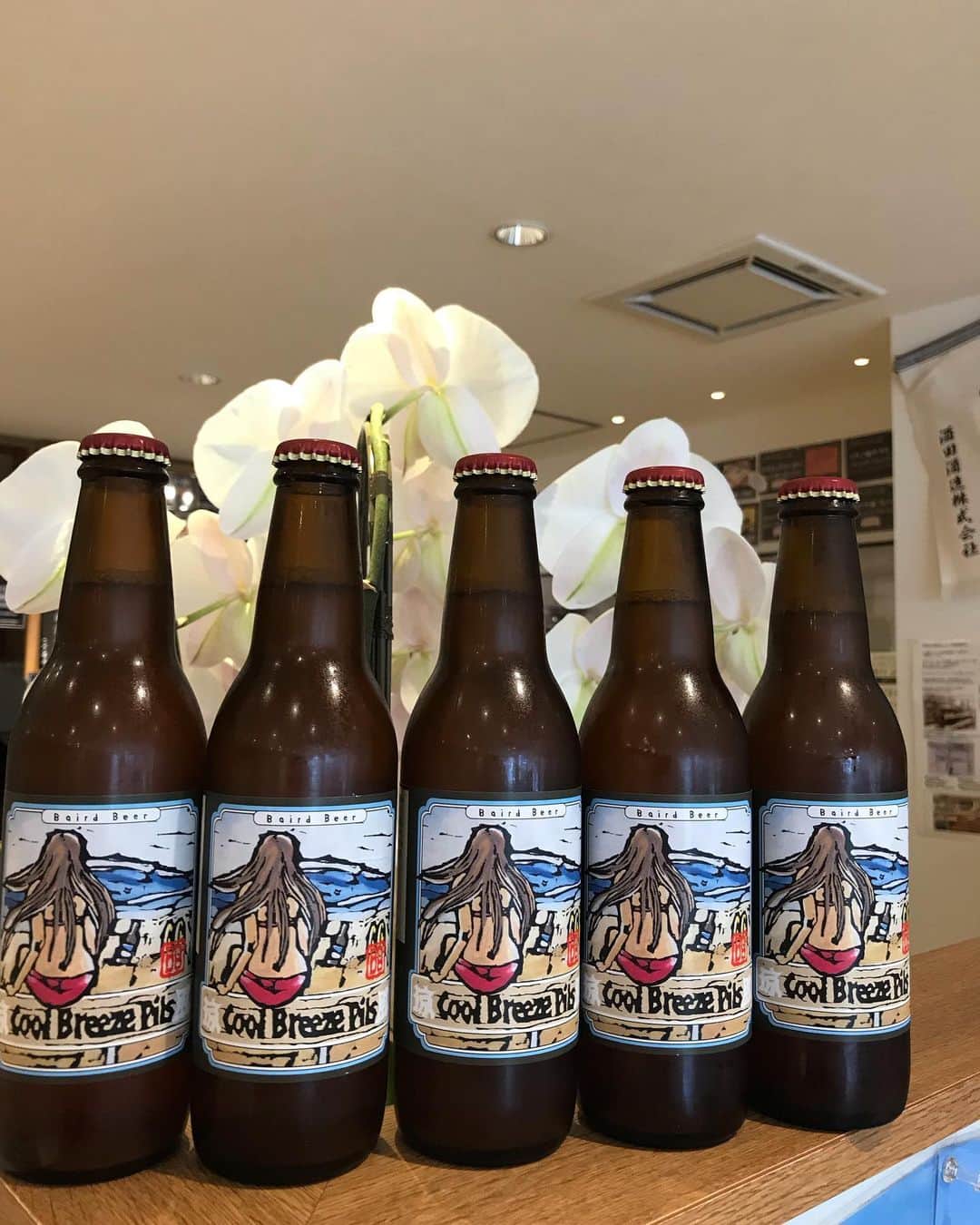 鈴木酒販神田店 〈日本酒とワインの専門店〉のグルメインスタ