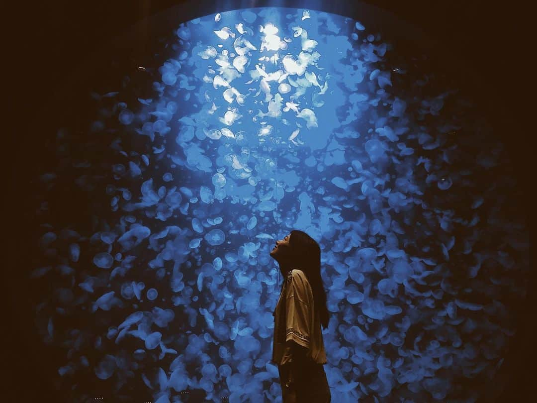 井上早紀さんのインスタグラム写真 - (井上早紀Instagram)「#加茂水族館 ぜったい行きたいと思ってたんだー♡ 希望を叶えてくれた友人に感謝☺️またタビしたい！」6月27日 12時19分 - _is__231