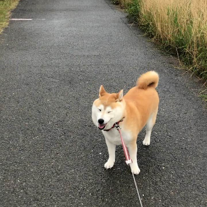 こなつのインスタグラム