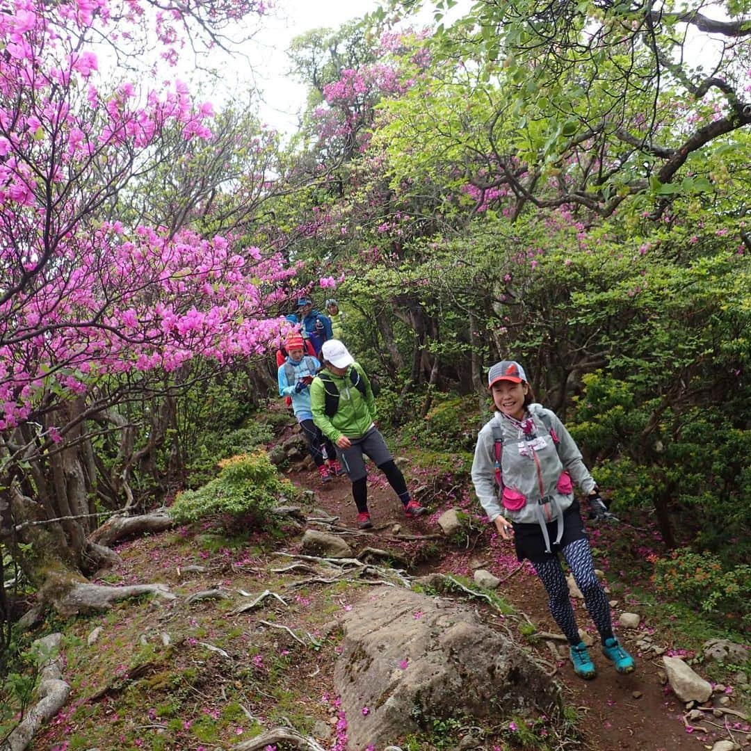 The Japan Timesさんのインスタグラム写真 - (The Japan TimesInstagram)「In the past decade or so, the number of trail runners in Japan has increased tenfold. Today, hundreds of trail races of varying distances are held across the country. Mountain trail running has become especially popular among older generations. According to 64-year-old trail runner Sayako Suzuki, “The trees, the wind, the earth and the feeling of freedom of running through the mountains is such a primal experience.” Read the full story on The Japan Times online. (Pauline Kitamura photos)  #Japan #summer #mountains #trailrunning #race #running #marathon #fun #日本 #夏 #山 #登山 #マラソン #山岳ラン #楽しい #⛰」6月27日 12時57分 - thejapantimes