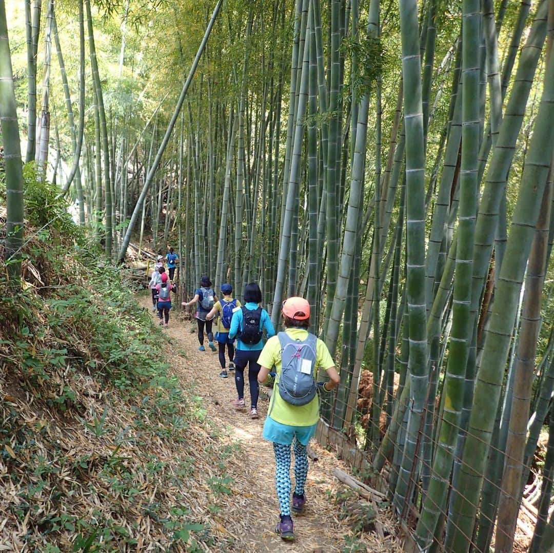 The Japan Timesさんのインスタグラム写真 - (The Japan TimesInstagram)「In the past decade or so, the number of trail runners in Japan has increased tenfold. Today, hundreds of trail races of varying distances are held across the country. Mountain trail running has become especially popular among older generations. According to 64-year-old trail runner Sayako Suzuki, “The trees, the wind, the earth and the feeling of freedom of running through the mountains is such a primal experience.” Read the full story on The Japan Times online. (Pauline Kitamura photos)  #Japan #summer #mountains #trailrunning #race #running #marathon #fun #日本 #夏 #山 #登山 #マラソン #山岳ラン #楽しい #⛰」6月27日 12時57分 - thejapantimes