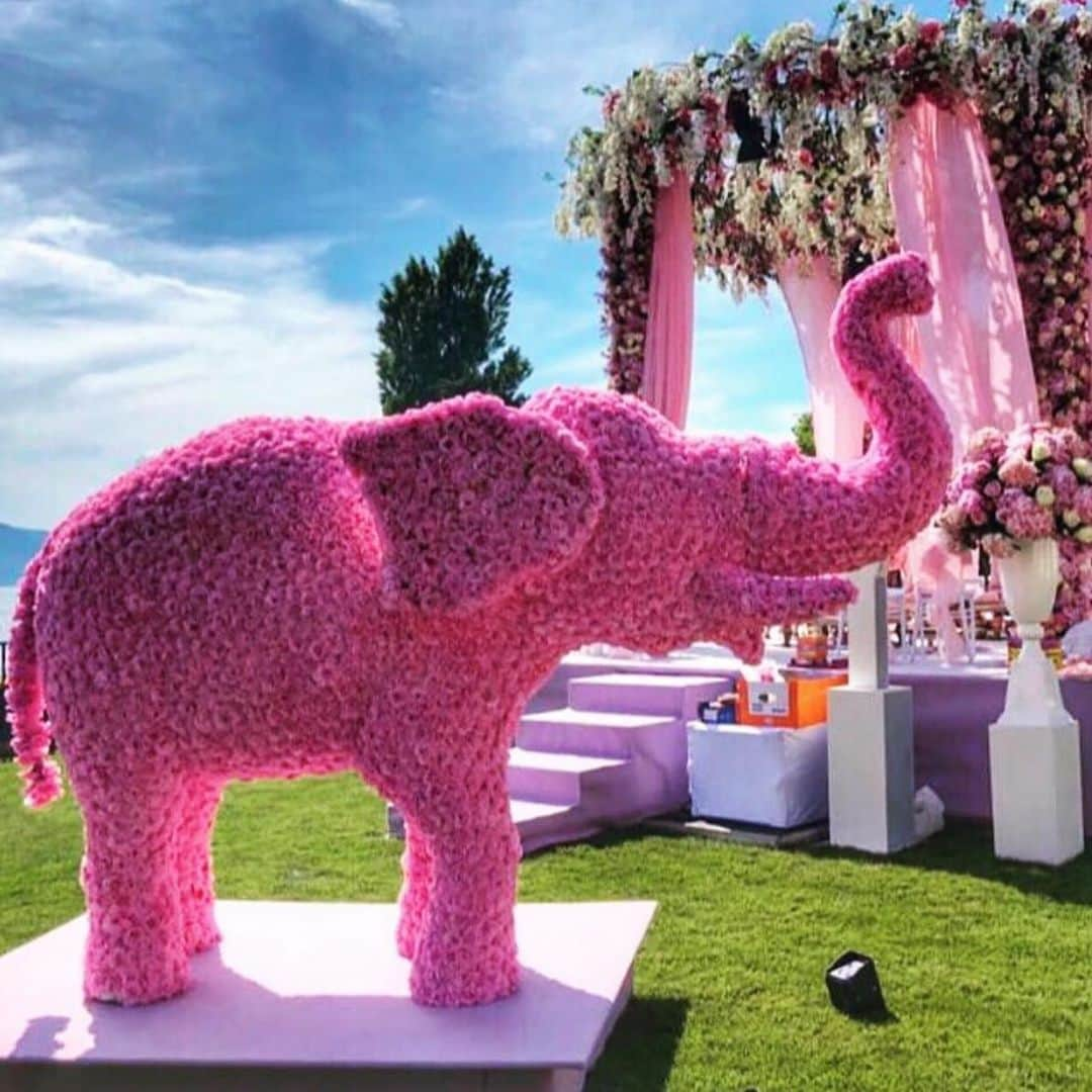 Indianstreetfashionさんのインスタグラム写真 - (IndianstreetfashionInstagram)「Wedding decor that’s making us go cray - in the best possible way 🐘🌸 #indianstreetfashion #indianwedding  #wedding #weddingsofinstagram #instawedding  #indianwedding #bridesofindia #bridesofinstagram #indianbridaloutfit #weddinglook  #bridallook #bridestyle #weddingtrend #trend #bridaljewelry #jewellery #weddinginspo #weddingplanner #weddingblogger #weddingplanner #destinationwedding #weddingdecor @theweddingdesigncompany」6月27日 13時07分 - indianstreetfashion