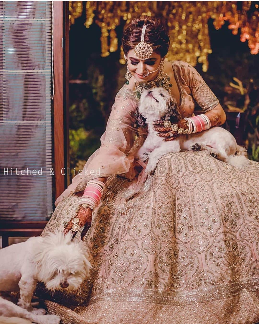 Indianstreetfashionさんのインスタグラム写真 - (IndianstreetfashionInstagram)「Tag a bride who is definitely gonna click a lot of pictures with her furry friends 😍  #indianstreetfashion #indianwedding  #wedding #weddingsofinstagram #instawedding  #indianwedding #bridesofindia #bridesofinstagram #indianbridaloutfit #weddinglook  #bridallook #bridestyle #weddingtrend #trend #bridaljewelry #jewellery #weddinginspo #weddingplanner #weddingblogger #weddingplanner #destinationwedding  @hitchedandclicked」6月27日 13時09分 - indianstreetfashion