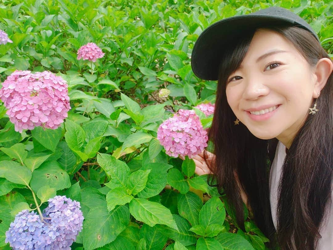 服部ひで子のインスタグラム：「本日は、お足元の悪い中ご来場くださった皆様、ありがとうございました(* ´ ▽ ` *)ﾉ☂️ 人にとっては憂いの雨ですが、久々の雨だったので、紫陽花にとっては恵みの雨でしたね😊✨ 色とりどりの紫陽花に、 見てるだけで心が華ぎます。  鬱陶しい梅雨の時期に、小さなHAPPYをもたらしてくれる尊い存在ですね。  明日もあいにくのお天気ですが、西梅田劇場でお待ちしております～(* ´ ▽ ` *)ﾉ。」