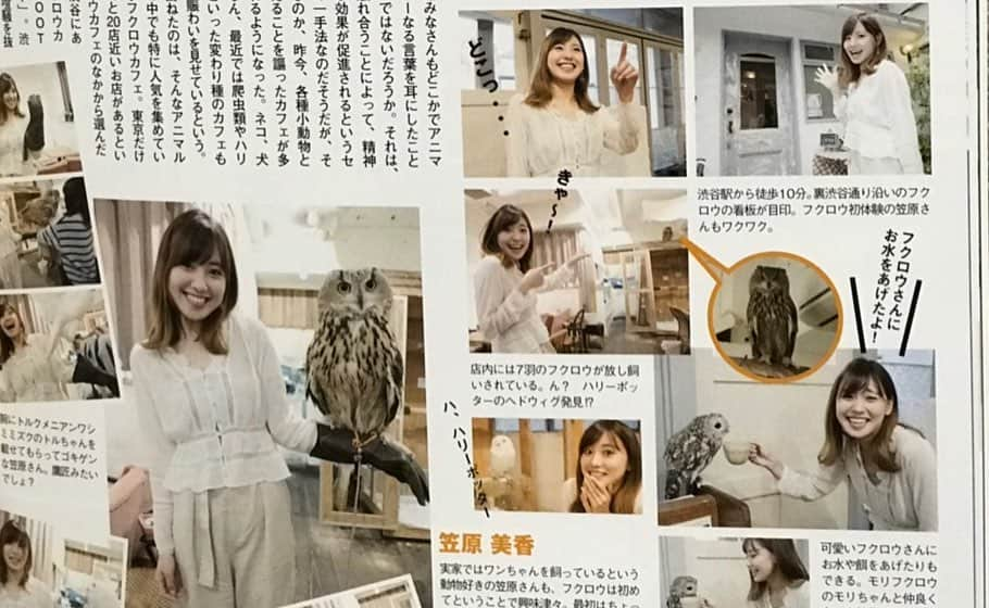 笠原美香さんのインスタグラム写真 - (笠原美香Instagram)「雑誌掲載のお知らせ✨ vol42STREETMINI ぜひご覧ください😊💓 可愛いフクロウ🦉ちゃんがいっぱいいるカフェの取材と...存分に楽しんでしむいましたが(笑) それとMotul998challengeに初挑戦したレースレポになってます✨ ライン取りはまずまずになってきました😆 いつもびびって緩めていた最終コーナーをやっと全開でいけるようになったのも嬉しい✨ 次戦はMINIfesで走ります🙋‍♀️ 富士スピードウェイで走れるということでとっても楽しみです💓 ぜひ遊びにきてください🙋‍♀️ . #STREETmini #白ミニくんレポート #フクロウカフェ #motul998challenge  #998 #sbom  #motorsport #race #mini #モタスポ #モタスポ女子」6月27日 23時04分 - mika.k419