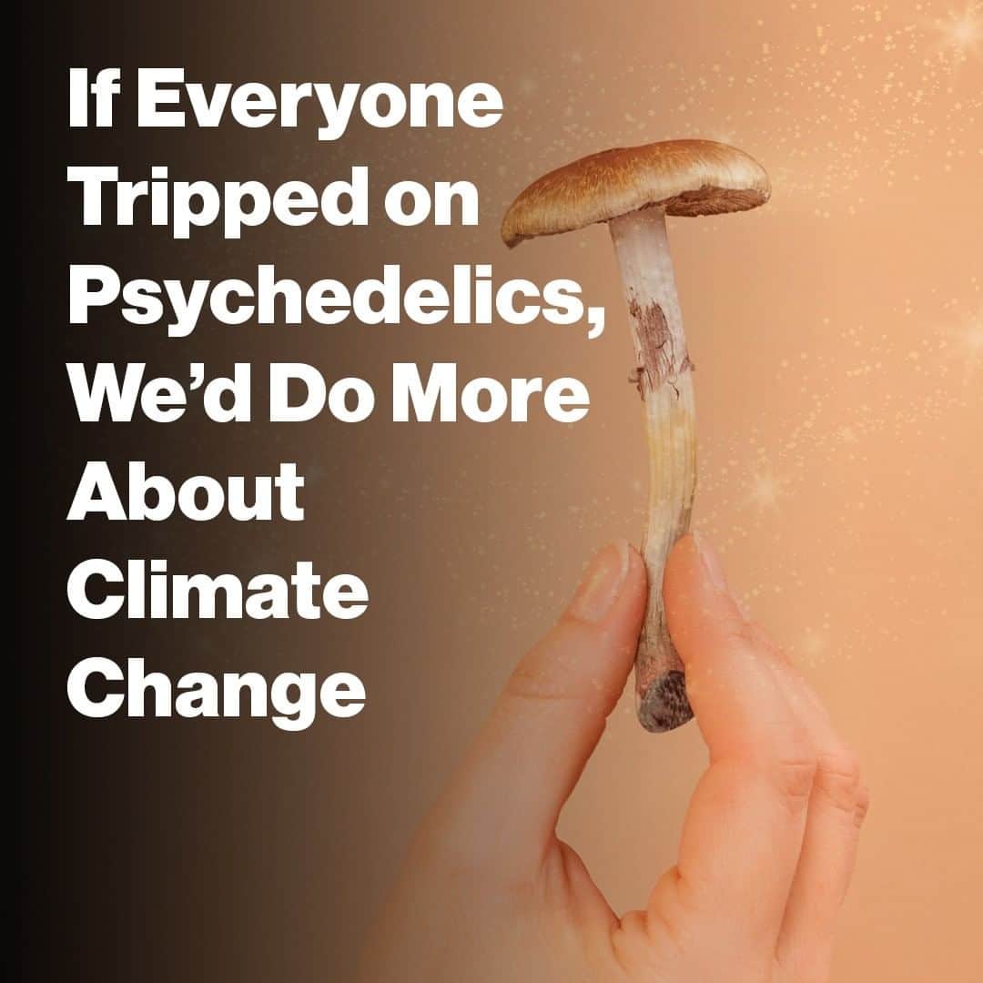 VICEさんのインスタグラム写真 - (VICEInstagram)「What is it about psychedelics that inspires people to act pro-environmentally? 🍄🌏 Link in bio to read what scientists have to say.」6月28日 0時00分 - vice
