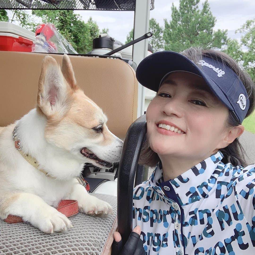 橋本志穂さんのインスタグラム写真 - (橋本志穂Instagram)「ヌーイ連れて回れるゴルフ場へー。 千葉のブリックアンドウッドは 会員さんが居れば 愛犬と一緒にラウンドできるんです❣️」6月27日 15時32分 - shihohashimoto3