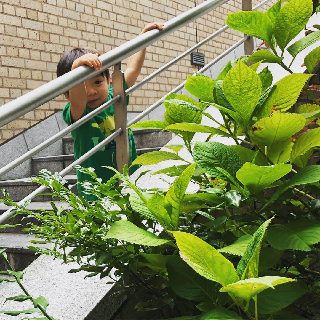 中岡由佳さんのインスタグラム写真 - (中岡由佳Instagram)「ボクどーこだ？ #green」6月27日 16時19分 - yuka_nakaoka