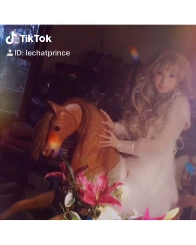 のインスタグラム