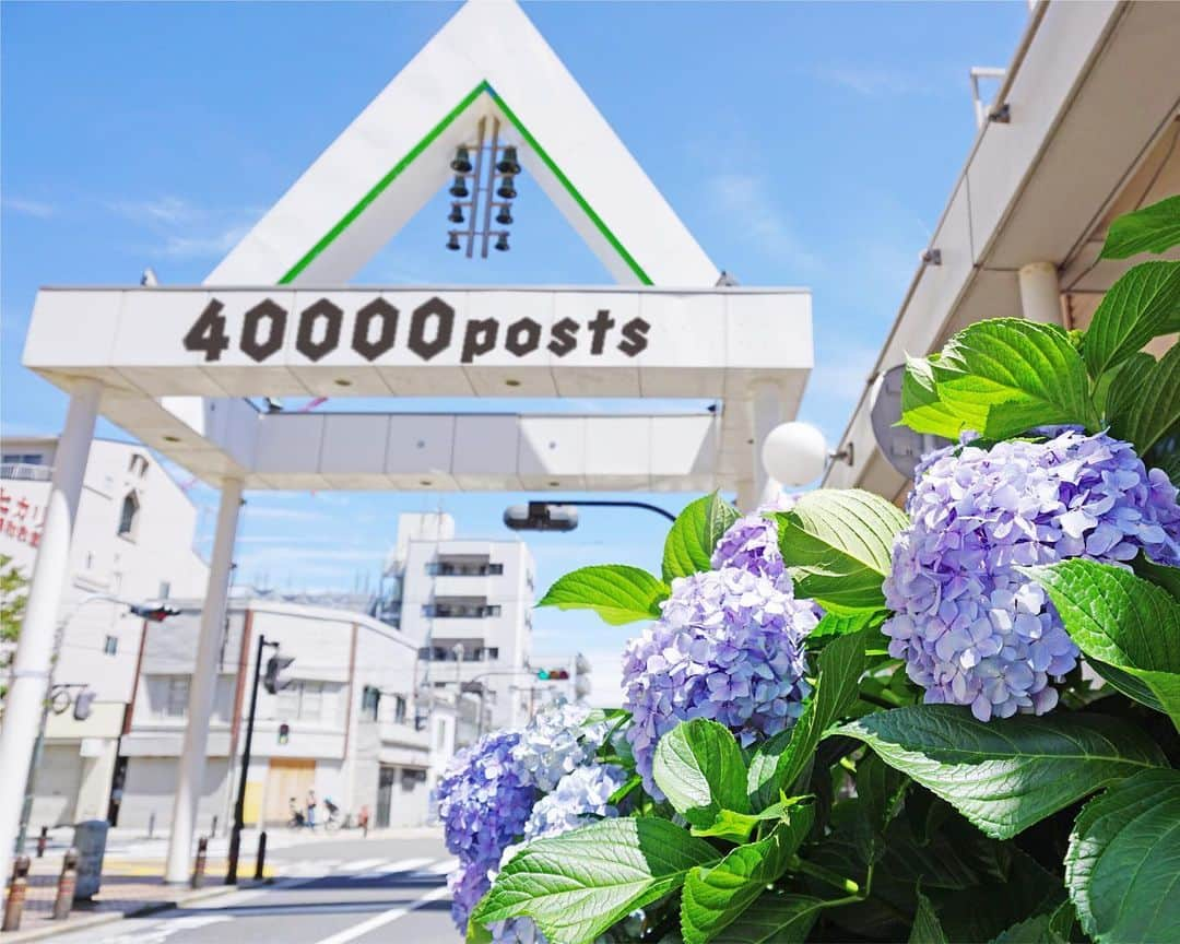 平塚市さんのインスタグラム写真 - (平塚市Instagram)「* #hiratsukagood が 40000postを達成！ みなさんのおかげで 平塚のGOODなシーンが どんどん集まっています。 これからもたくさん postしてくださいね♩ ***************** #手をつなぎたくなる街 #hiratsukagood #hiratsuka#平塚 #shonan#湘南 #kanagawaphotoclub #紫陽花#あじさい #アジサイ#紫陽花の花 #hydrangea#ハイドランジア #はなまっぷ#ザ花部 #空#青空 #充実した休日 #週末の過ごし方 #日々#暮らし #instagramjapan#igersjp」6月27日 17時00分 - hiratsukagood