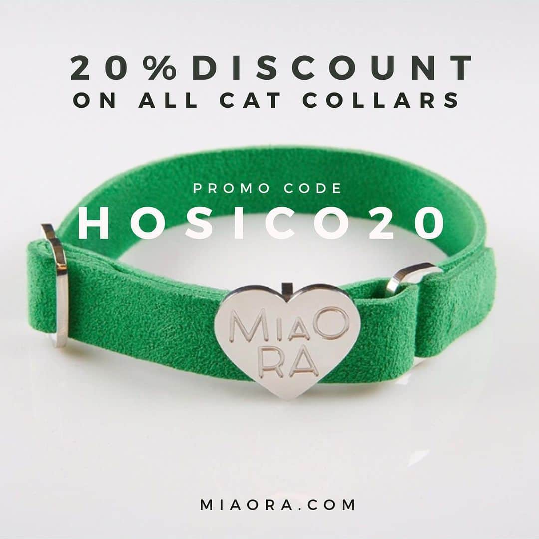 Hosicoさんのインスタグラム写真 - (HosicoInstagram)「Introducing designer cat collars from @miaora.vienna  MIAORA cat collars are made of premium materials and bring the luxurious glance to your cat. ✨ Shop now with promo code HOSICO20 and get 20% discount on all cat collars at miaora.com 🛍 Hosico is wearing the MERMAID GREEN cat collar 🧜‍♀️ #hosico #miaora #miaorajewelry #cat #catcollar #ad」6月27日 17時56分 - hosico_cat