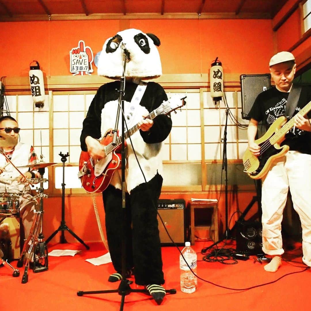 山川のりをのインスタグラム：「明日から須磨でひとりギターパンダ、名古屋はご当地ギターパンダ祭り、伊那は大阪ギターパンダでのライブです。って地名が多くて、何言ってるかわからないですよね。特に名古屋で大阪と豊田と東海って？ ギターパンダはツアー先で現地調達方式によるバンドを９つ持ってます。その中から3つのバンドが一堂に会してのライブです。写真はトヨタギターパンダのライブの様子です。珍しいライブなのでよろしくお願い申し上げます。他の日も会いにきてアイニージュー！ 事前に告知すると沢山人が来てくれてます。皆さんありがとうございます。」