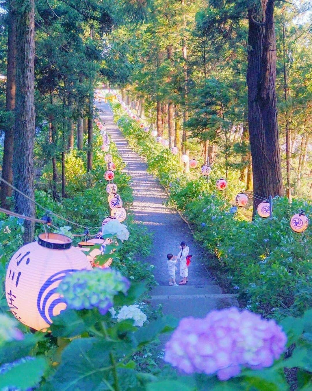 タビスルキッズのインスタグラム：「こんばんは😊 現在、「初夏」を楽しんでいるお写真・動画を募集中です✨ 本日の #タビスルキッズ はこちら💕 📷 @____amerinco____さん 🚩栃木県・鹿沼市「磯山神社」 🎙ご本人コメント 続 磯山神社。  紫陽花が待ち遠しくて夜な夜なインスタパトロールして情報収集しております（笑）﻿﻿ ﻿﻿﻿﻿﻿＊＊＊＊＊＊ 「ちょうちんの灯りとアジサイ」季節限定の素敵な光景ですね！ いつも、素敵なお写真ありがとうございます💕」