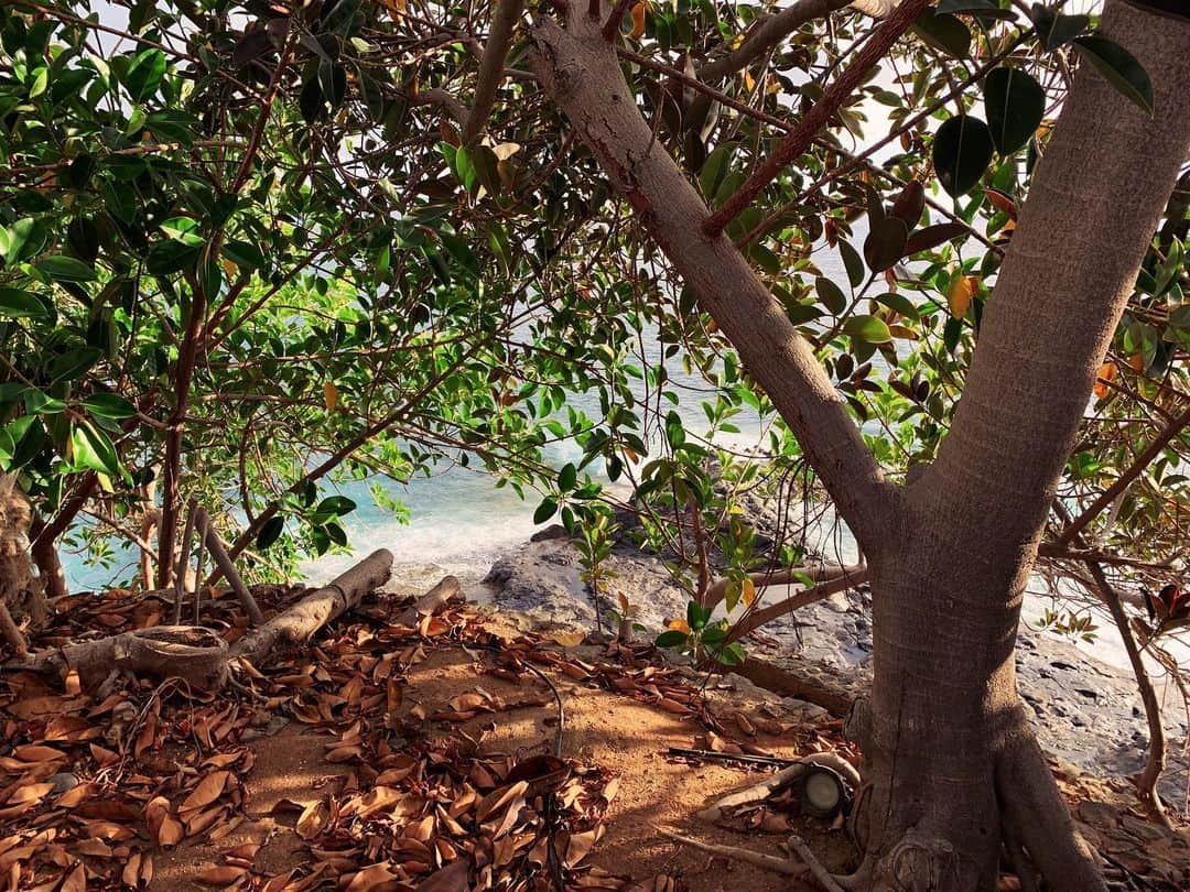 エカチェリーナ・ガールキナのインスタグラム：「🍃🌊」