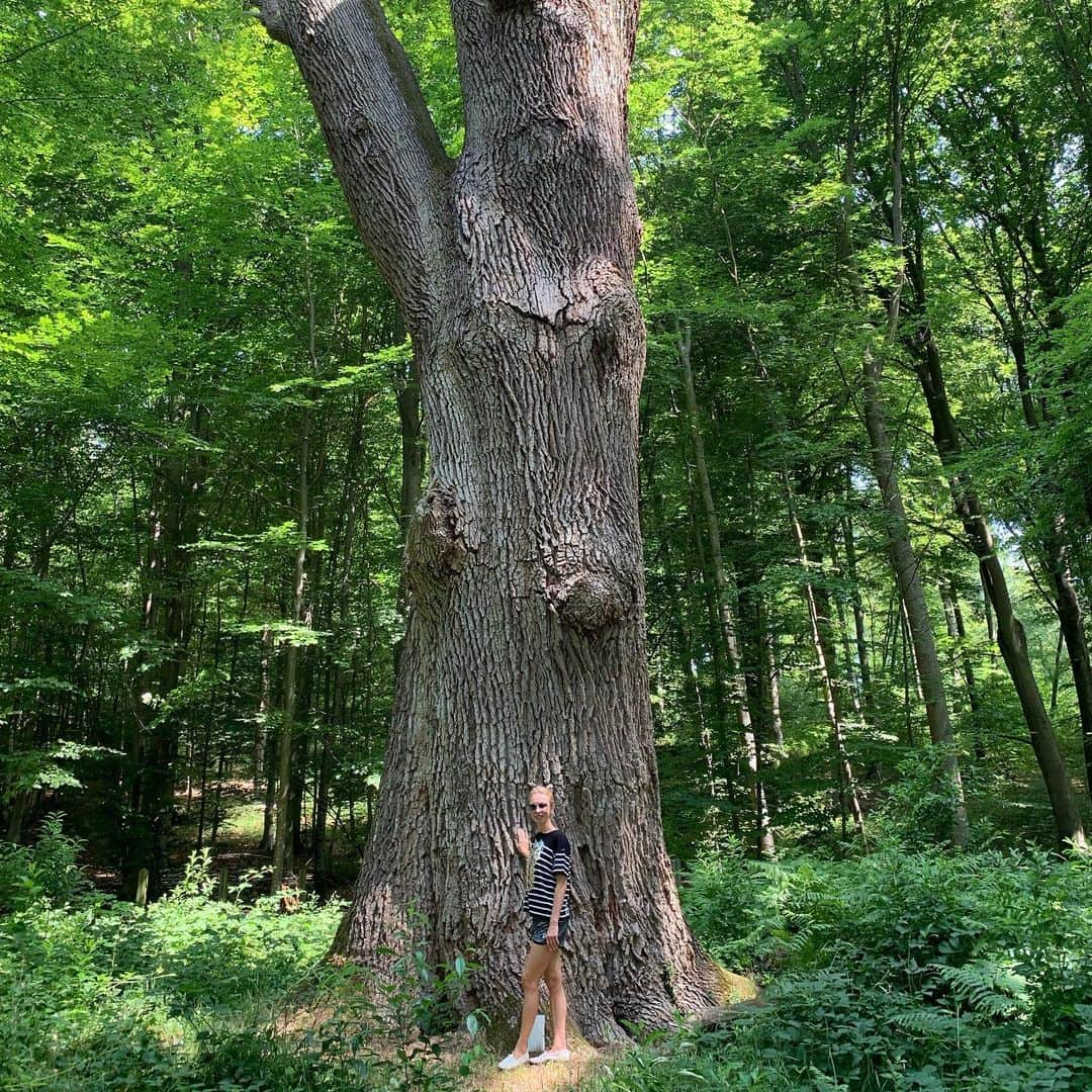 タチアナ・トトミアニナさんのインスタグラム写真 - (タチアナ・トトミアニナInstagram)「Я и дуб (ему 450 лет) 🌳✌️」6月27日 19時35分 - tatianatotmyanina