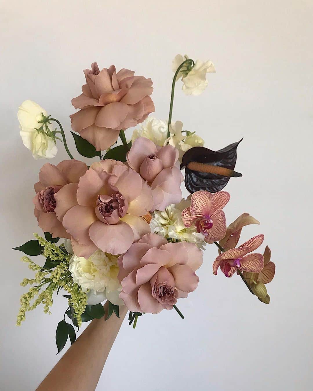 Nora O´Neilのインスタグラム