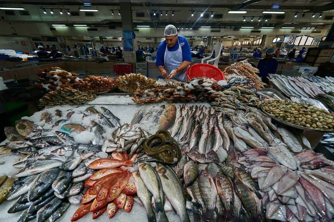 Michael Yamashitaさんのインスタグラム写真 - (Michael YamashitaInstagram)「Abu Dhabi fish market dazzles the eye with its colors, varieties of fish and their artful displays. #abudhabi #fishmarket #abudjabilife #uae」6月27日 20時18分 - yamashitaphoto