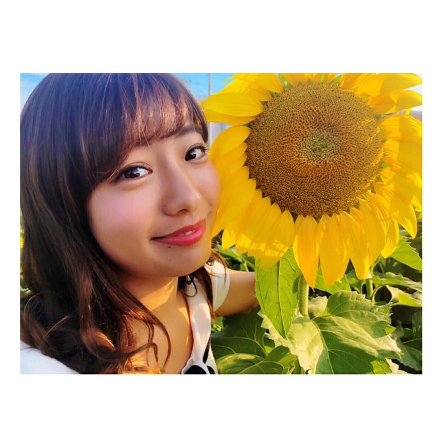 白戸ゆめのさんのインスタグラム写真 - (白戸ゆめのInstagram)「. まんのう町のひまわり🌻 平日休みも満喫しました！ 綺麗だったなあ👒💗 . 1番好きな花かもしれない。 元気を貰いましたありがとう😊 . 中四国はようやく梅雨入りして 令和初の台風まで。。。🌀☔️ お出かけの際は気をつけてくださいね！ 気分が下がりがちですが頑張りましょう🐸💫 . tops: @apuweiser_official ❁❁❁ #香川 #まんのう町 #ひまわり畑 #梅雨 来る前に #夏 きちゃった感 #花言葉 #憧れ #あなただけを見つめる #いつか結婚するなら #プロポーズは #ひまわりとかすみ草の花束を海で渡されたい😻笑」6月27日 20時39分 - yumeno.s_