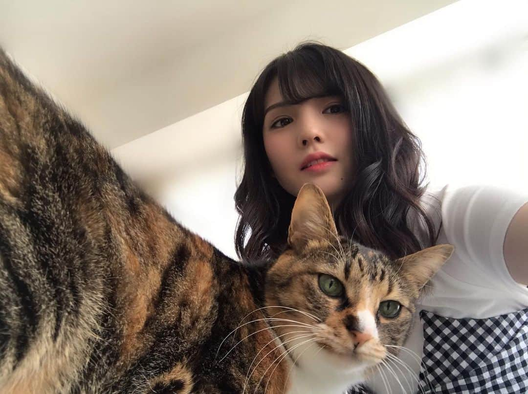 道重さゆみさんのインスタグラム写真 - (道重さゆみInstagram)「自撮りしてたら様子見にきてくれたセラちゃん #セーラ #セラさゆ」6月27日 20時51分 - sayumimichishige0713