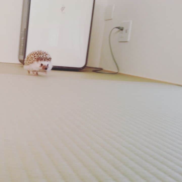 sr_ummのインスタグラム