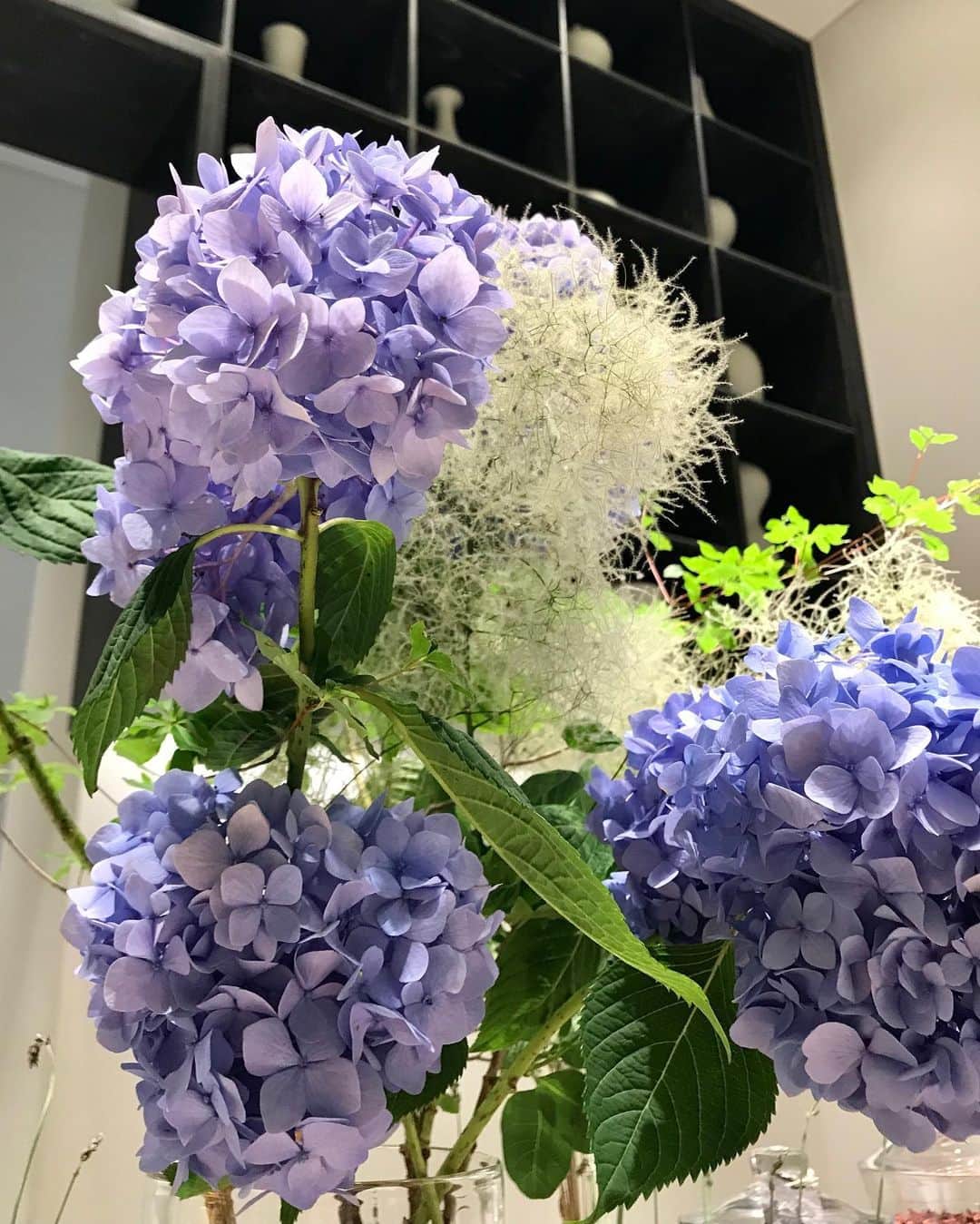 のインスタグラム：「☔️ The best part about rainy season in Tokyo are the colorful hydrangea dotting the city 💜💙 You can also find them brightening up the #blendbar at AO Spa. #aospa」