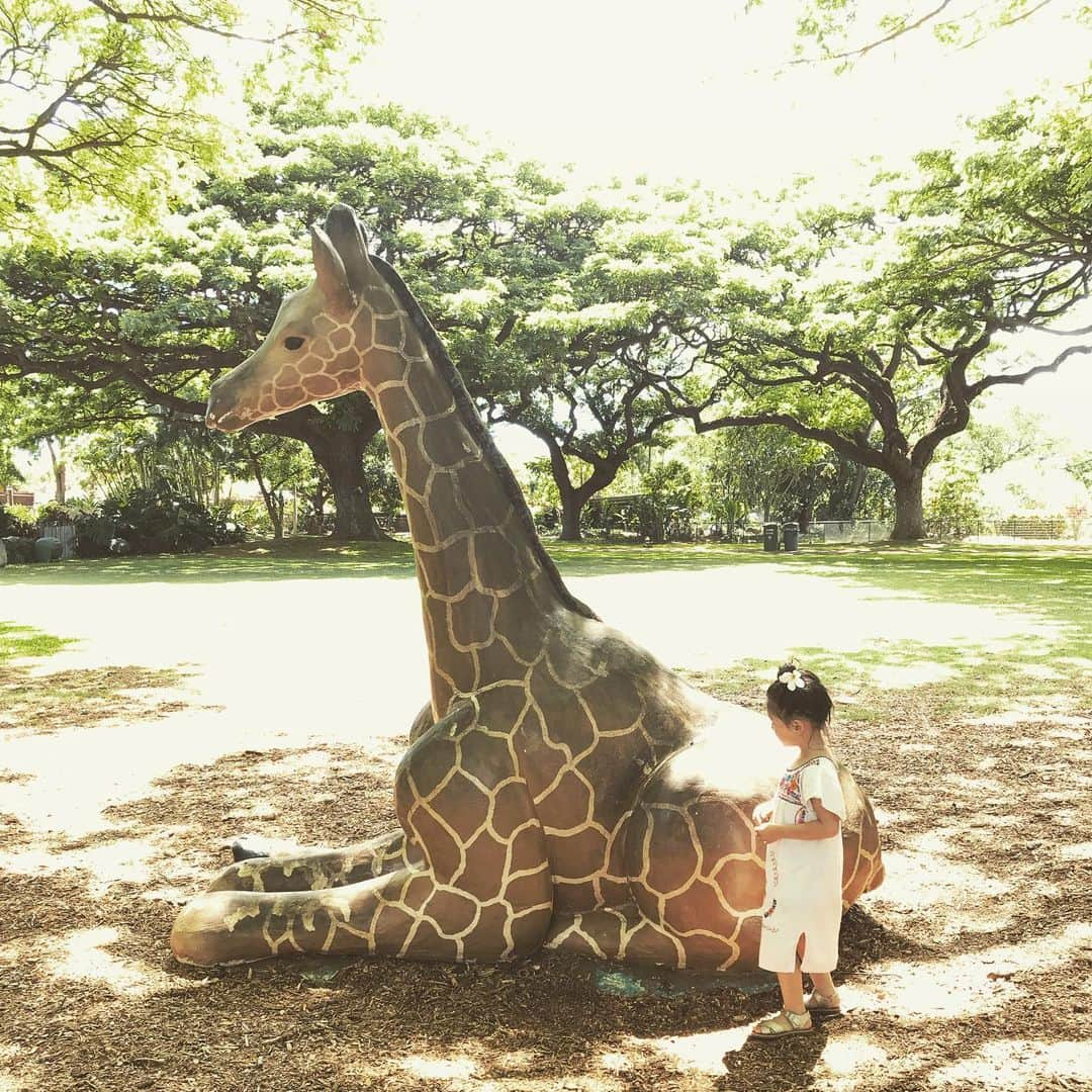 野波麻帆さんのインスタグラム写真 - (野波麻帆Instagram)「. 🦒🦏🐅🐇🐘🐑🦓🐆。」6月27日 21時58分 - mahononami