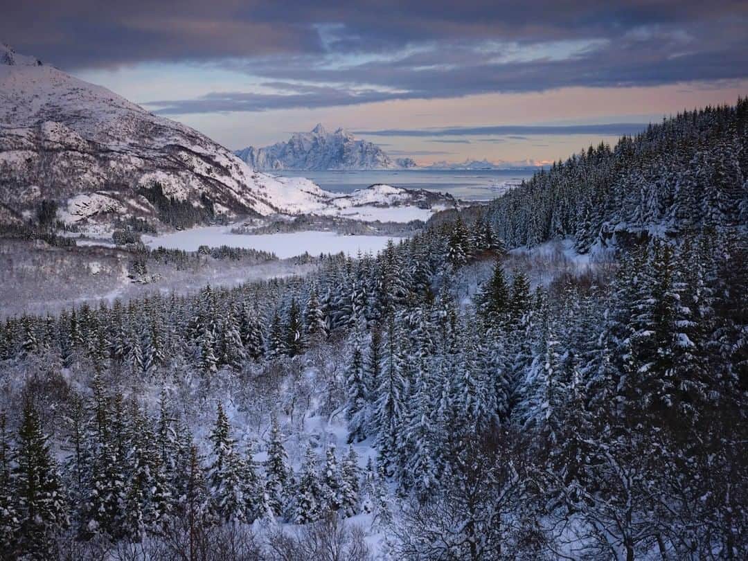 National Geographic Travelさんのインスタグラム写真 - (National Geographic TravelInstagram)「Photo by Simon Norfolk @simonnorfolkstudio I A wintery landscape near Ballstad, in arctic Norway. Ballstad is located on a small island off the southwestern tip of the island of Vestvågøya. It is one of the largest fishing communities in the Lofoten archipelago. There is evidence that human settlement in Lofoten extends back thousands of years. The archipelago's Stone Age inhabitants survived by hunting and fishing in an area that was covered by large pine and birch forests. There were bears, deer, reindeer, beavers, and lynx here and the waters teemed with seals and whales. Agriculture was quick to develop too–grain was harvested in Lofoten as early as 4,000 years ago. Follow me, @simonnorfolkstudio, for updates, outtakes, and unpublished and archive material. #norway #arctic #Nordland #ballstad #Lofoten」6月27日 22時00分 - natgeotravel
