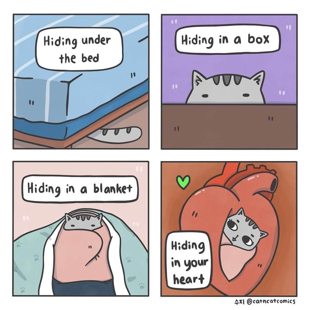 のインスタグラム：「Do you love meow 🐾⠀ ⠀ ✍🏼@catandcatcomics⠀ ⠀ #meowed #doodles #9gagmeowdle #catandcatcomics #catcomic #meowedcomic」