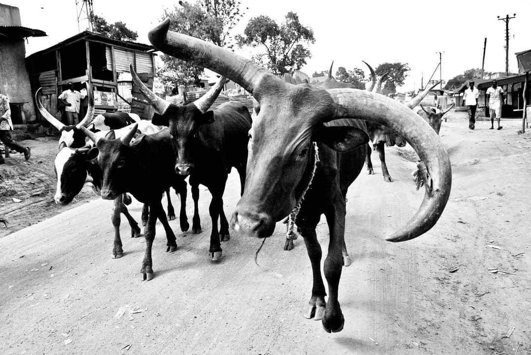 アビゲイル・スペンサーさんのインスタグラム写真 - (アビゲイル・スペンサーInstagram)「Ndejje Village outside of Kampala, Uganda. 2010. this photo lives in my dining room. live local. think global. #tbt #UgandaProject #WitnessUganda 📷 @andreamoorearts」6月28日 8時54分 - abigailspencer