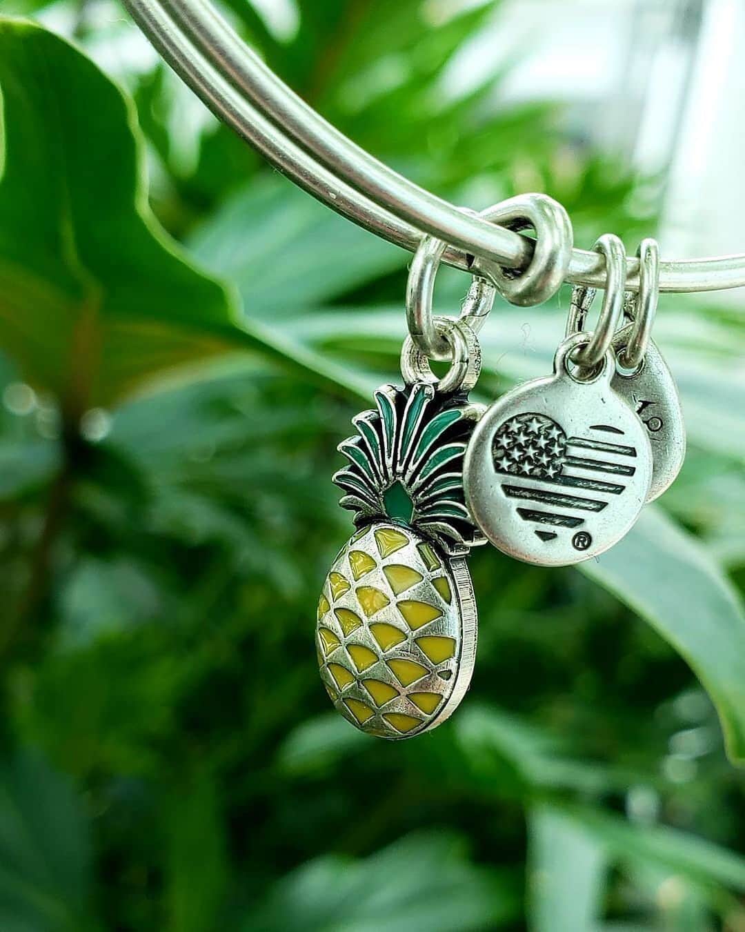 のインスタグラム：「Be like a pineapple - stand tall and always wear a crown 🍍#NationalPineappleDay (link in bio) | 📸: @alexandani_towson」