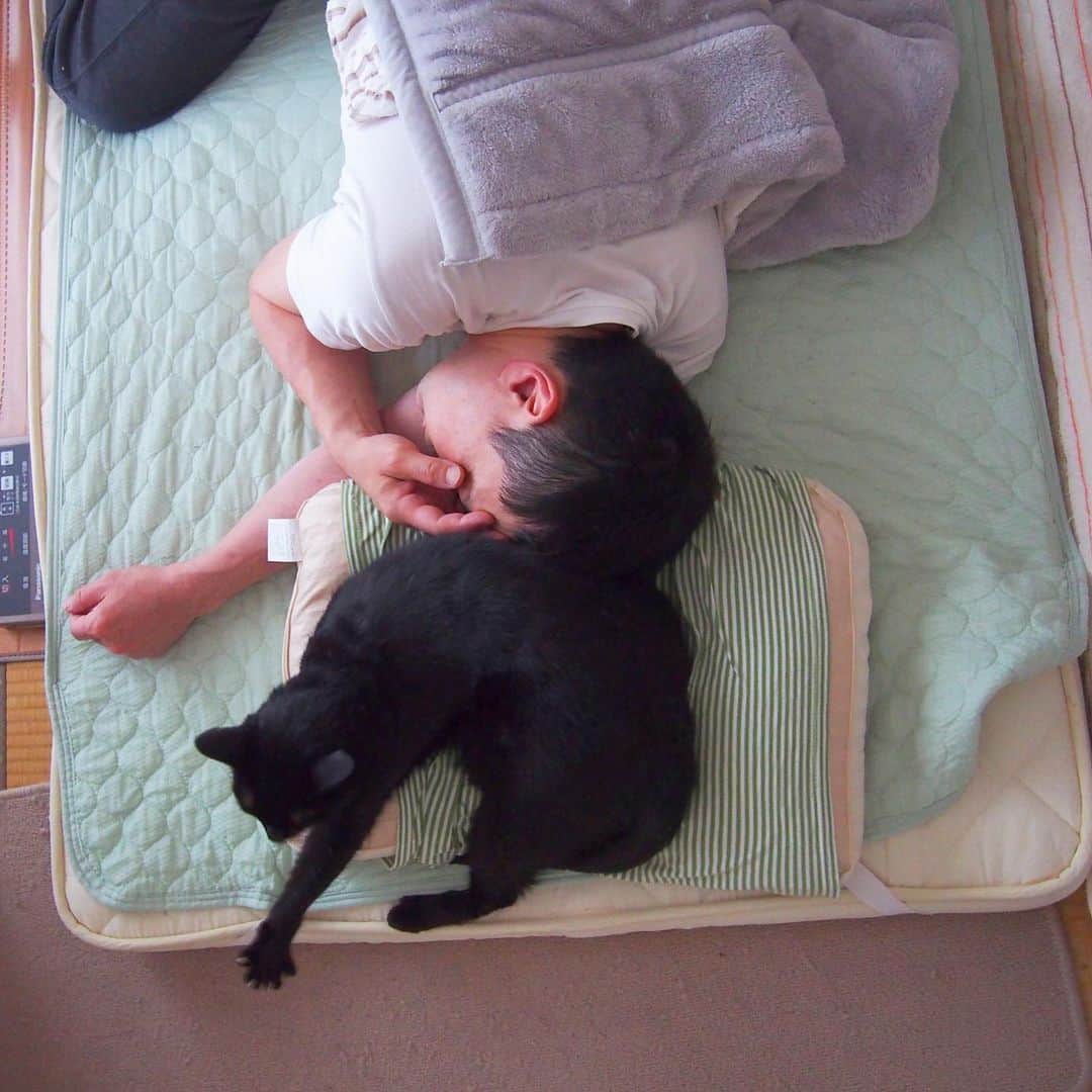 nemuru_catさんのインスタグラム写真 - (nemuru_catInstagram)「#ベム#眠る夫  結局朝までベムきゅんが マクラで寝てました😸 おやすみにゃさ〜い💤💤 * #ねこ部#cat#cats#neko#猫#catsofinstagram#bestmeow#catlover#instagramjapan#ふわもこ部#黒猫」6月28日 1時33分 - nemuru_cat
