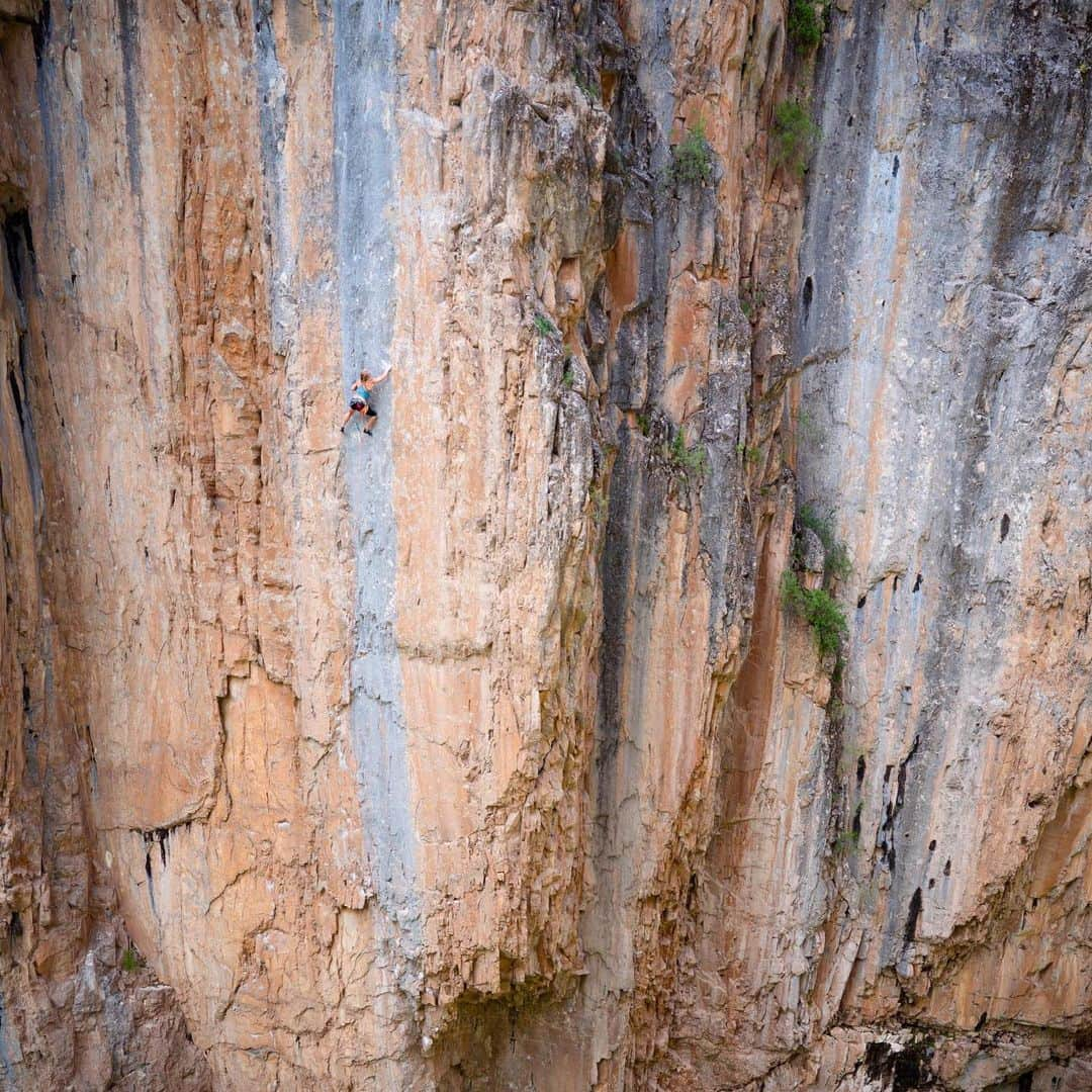 エミリー・ハリントンさんのインスタグラム写真 - (エミリー・ハリントンInstagram)「The Eighth Day ✅: stoked to finally complete this Queen Line 👑 of Rifle Canyon. It’s “only” 5.13a but it could be argued that it was my longest standing project as I first tried it way back in 2002, where I got lost way up high in the sea of blue and orange and took a 40ft screamer with @mattsegal belaying 😂 // Sending this route yesterday with Matt belaying yet again and my dad @timnharrington watching really brought out all the nostalgia feels 🥰 // What a great week it was visiting this place and spending time with some of my favorite people. // Now it’s homeward bound and then onto 🇵🇪!!! // 📸 @tarakerzhner // @thenorthface // @lasportivana // @petzl_official」6月28日 2時08分 - emilyaharrington