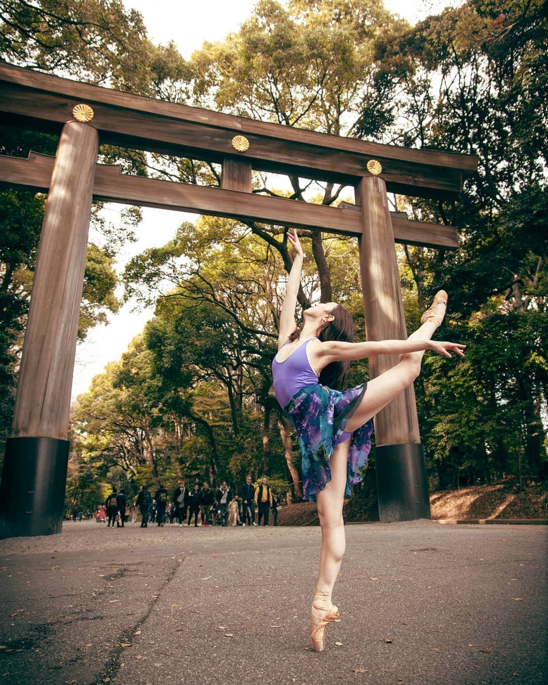 Lily Saito (齊藤莉理)のインスタグラム