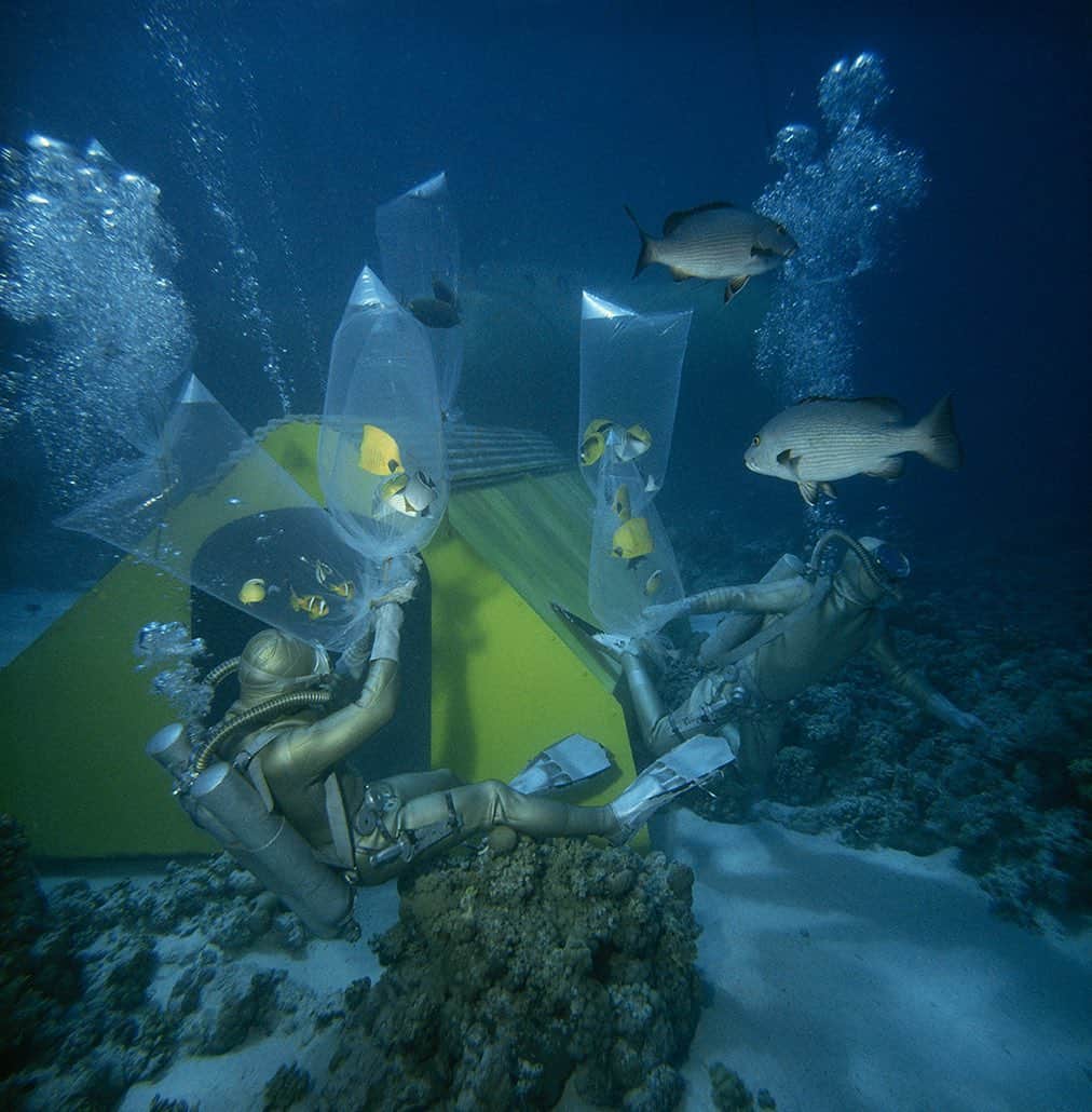 のインスタグラム：「Photo by Robert Goodman | Divers defend plastic bags of specimen fish from hungry predators near Shaab Rumi Reef in the Red Sea. This image was originally published in the April 1964 magazine. #ThrowBackThursday #Underwater」