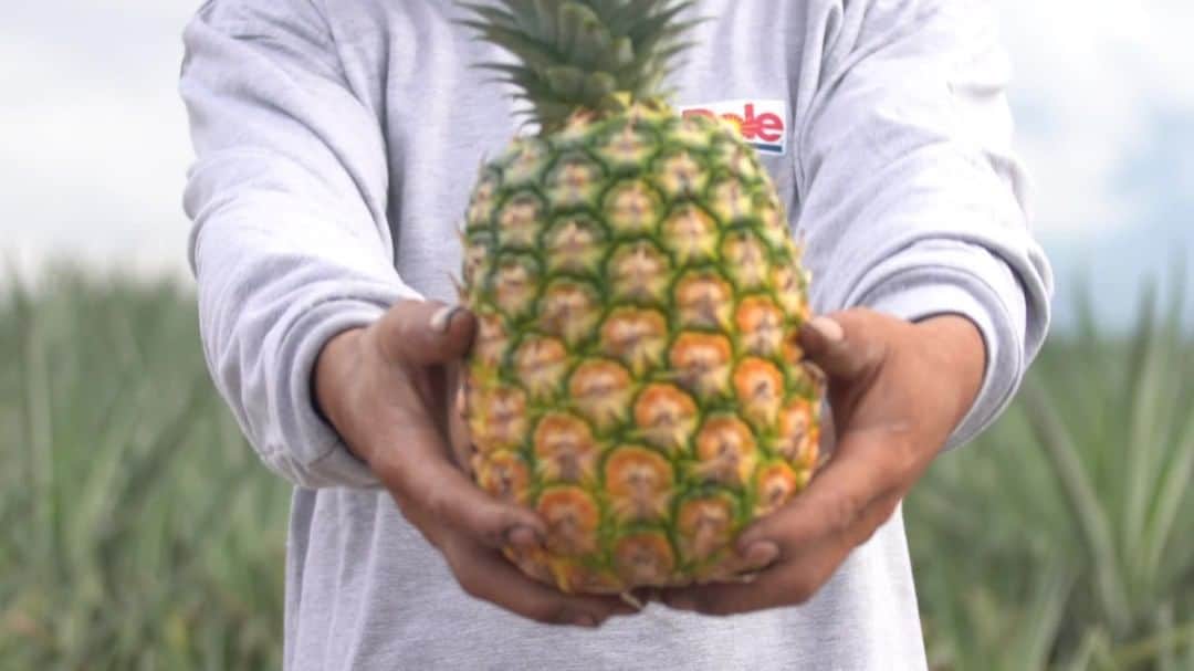 Dole Packaged Foods（ドール）のインスタグラム：「From our fields to your table. We couldn’t think of a better way to celebrate #NationalPineappleDay than with all of you.」