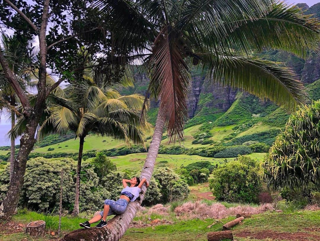 ニコール・シャージンガーさんのインスタグラム写真 - (ニコール・シャージンガーInstagram)「Taking it all in 🙌🏽 Established in 1850, Kualoa is one of the most historically significant areas on Oʻahu, and in ancient times, it was one of the most sacred places on the island! Legends say Kualoa was once a pu’uhonua (place of refuge), where kanaka maoli (Hawaiian natives) could come to seek forgiveness. It was also used to host the Makahiki, an annual event where kanaka maoli came to train and participate in warrior games of skill. Our goal is to protect and enhance the natural beauty of these lands while developing sustainable recreational, agricultural and aquacultural enterprises that are compatible with the environment ♥️ #kualoa #kualoaranch #jurassicvalley」6月28日 3時38分 - nicolescherzinger