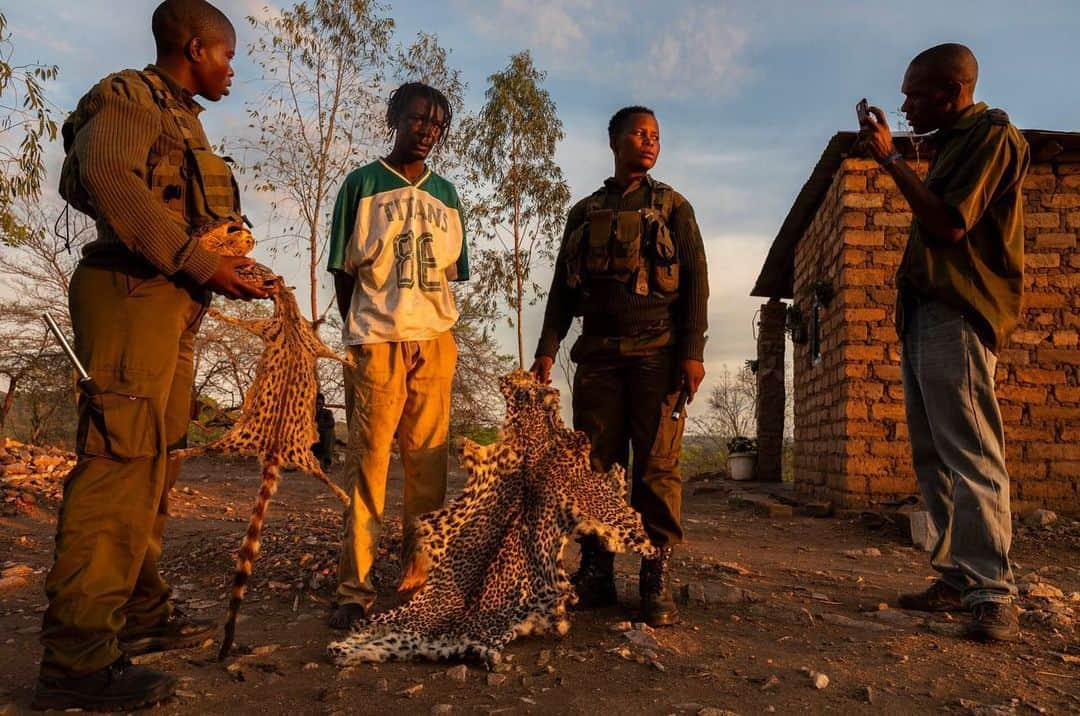 ナショナルジオグラフィックさんのインスタグラム写真 - (ナショナルジオグラフィックInstagram)「Photos by Brent Stirton @brentstirton | Phundundu, Zimbabwe. I had the pleasure of working with my friend Damien Mander, founder of the International Anti-Poaching Foundation, for a story on the elite members of Zimbabwe's all-female Akashinga conservation ranger force. This story is published in the June issue of National Geographic magazine, with writing by Lindsay Smith. Here are a few images depicting the women training and then deploying against experienced poachers. Akashinga (meaning the "Brave Ones" in the local Shona dialect) is a community-driven conservation model, empowering severely disadvantaged women to restore and manage a network of wilderness areas as an alternative to trophy hunting. According to Damien Mander, many current Western-conceived solutions to conserve wilderness areas struggle to gain traction across the African continent. Predominantly male forces are often hampered by ongoing corruption, nepotism, drunkenness, and occasionally aggression toward local communities. The I.A.P.F, @int.anti.poaching.foundation decided to innovate, using an all-female team to manage an entire nature reserve in Zimbabwe.  In the short time since it has been operating, Akashinga has become a role model for conservation and for rural African women across the continent. #womenempowerment #IWD2019 #Conservation @natgeo #strongwomen⁣ #wildlifecrime」6月28日 4時28分 - natgeo