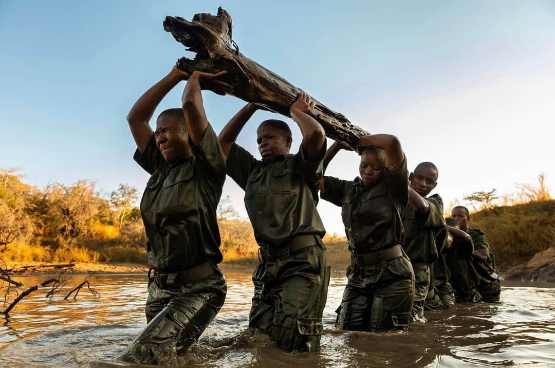 ナショナルジオグラフィックさんのインスタグラム写真 - (ナショナルジオグラフィックInstagram)「Photos by Brent Stirton @brentstirton | Phundundu, Zimbabwe. I had the pleasure of working with my friend Damien Mander, founder of the International Anti-Poaching Foundation, for a story on the elite members of Zimbabwe's all-female Akashinga conservation ranger force. This story is published in the June issue of National Geographic magazine, with writing by Lindsay Smith. Here are a few images depicting the women training and then deploying against experienced poachers. Akashinga (meaning the "Brave Ones" in the local Shona dialect) is a community-driven conservation model, empowering severely disadvantaged women to restore and manage a network of wilderness areas as an alternative to trophy hunting. According to Damien Mander, many current Western-conceived solutions to conserve wilderness areas struggle to gain traction across the African continent. Predominantly male forces are often hampered by ongoing corruption, nepotism, drunkenness, and occasionally aggression toward local communities. The I.A.P.F, @int.anti.poaching.foundation decided to innovate, using an all-female team to manage an entire nature reserve in Zimbabwe.  In the short time since it has been operating, Akashinga has become a role model for conservation and for rural African women across the continent. #womenempowerment #IWD2019 #Conservation @natgeo #strongwomen⁣ #wildlifecrime」6月28日 4時28分 - natgeo