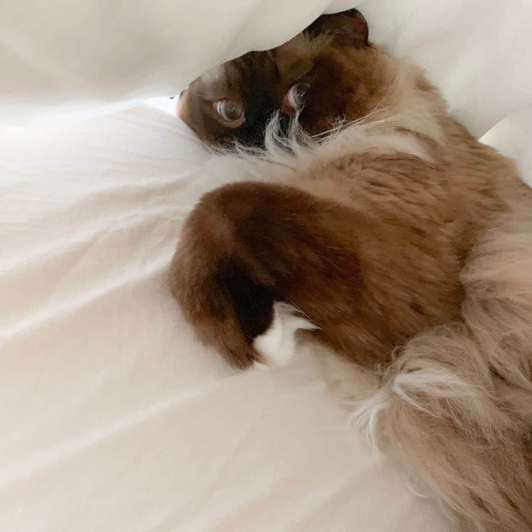 Chrissy Blairのインスタグラム：「Thursday morning feels」