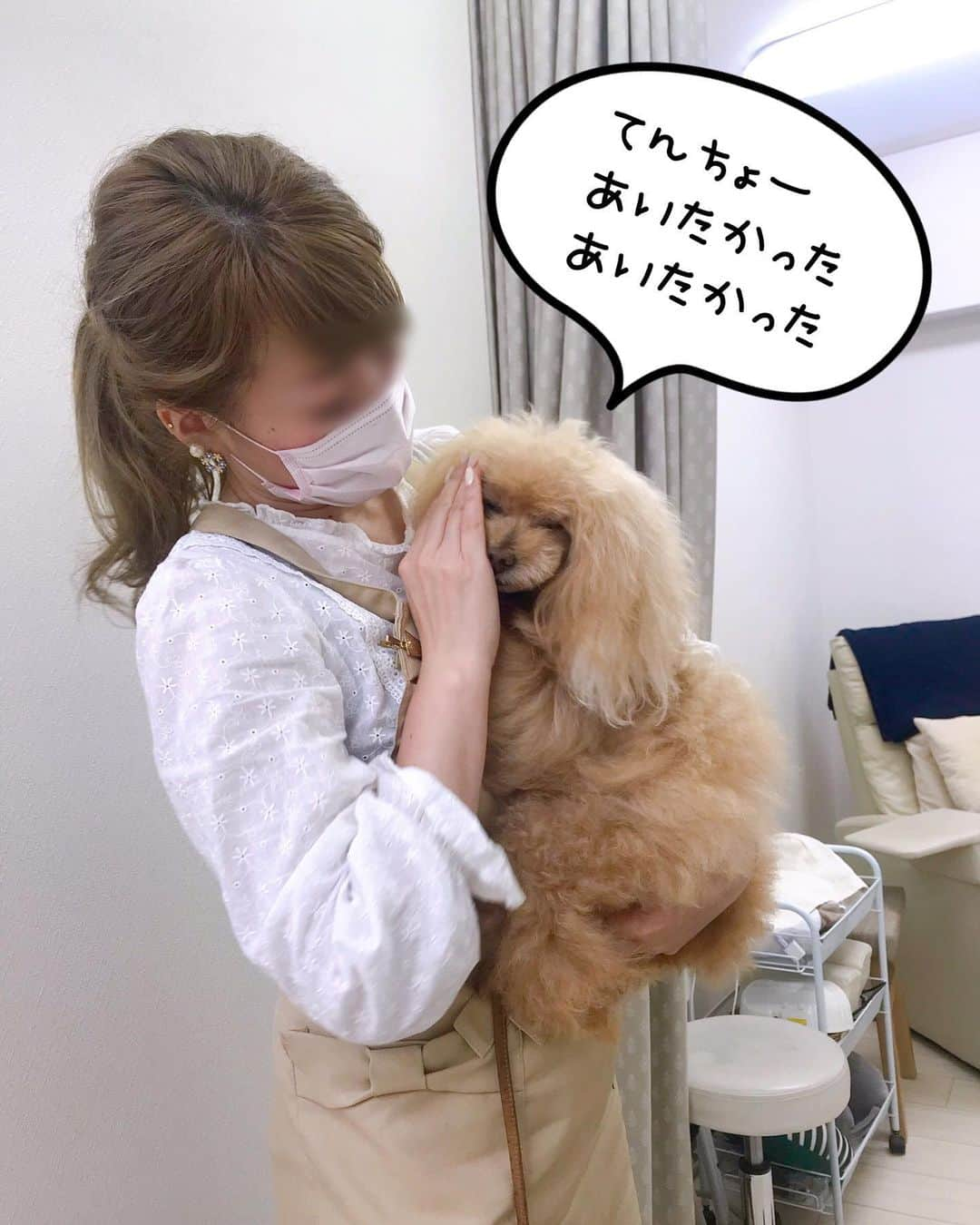 Toypoodle Mikuru?Asakusa Tokyoさんのインスタグラム写真 - (Toypoodle Mikuru?Asakusa TokyoInstagram)「In Ginza nail salon. みくるは久しぶりに、くそばばぁにネイルサロンにつれてってもらいました。 ここには、みくるの大好きな てんちょーさんがいるのに 雨が降るとつれてってくれません。 . 手術後初めててんちょーさんと愛の抱擁💖 みくるは愛されることが生き甲斐なんです😌 . #みくる日記 #みくるんとnail #カリスマネイリスト . ❶-❹ みくるん劇場 妄想かよ？ ❺ お目々拭いてくれる面倒見のいいカリスマ😄 ❻ オニクの夢見ながら待ってます😴 ❼ 前回のnail ❽ 今回のnail . ネイル💅前に ラフくんファミリー @laugh0903 と、しこたま飲んでおりました🍺 千鳥足で銀座へ向かったので 地下鉄乗り間違えて 遅刻しちゃいました😱⬅︎人として最低 ごめんねー🙏🏻🙏🏻🙏🏻😭😣💦 . 20190622 Saturday」6月28日 8時15分 - purapura299