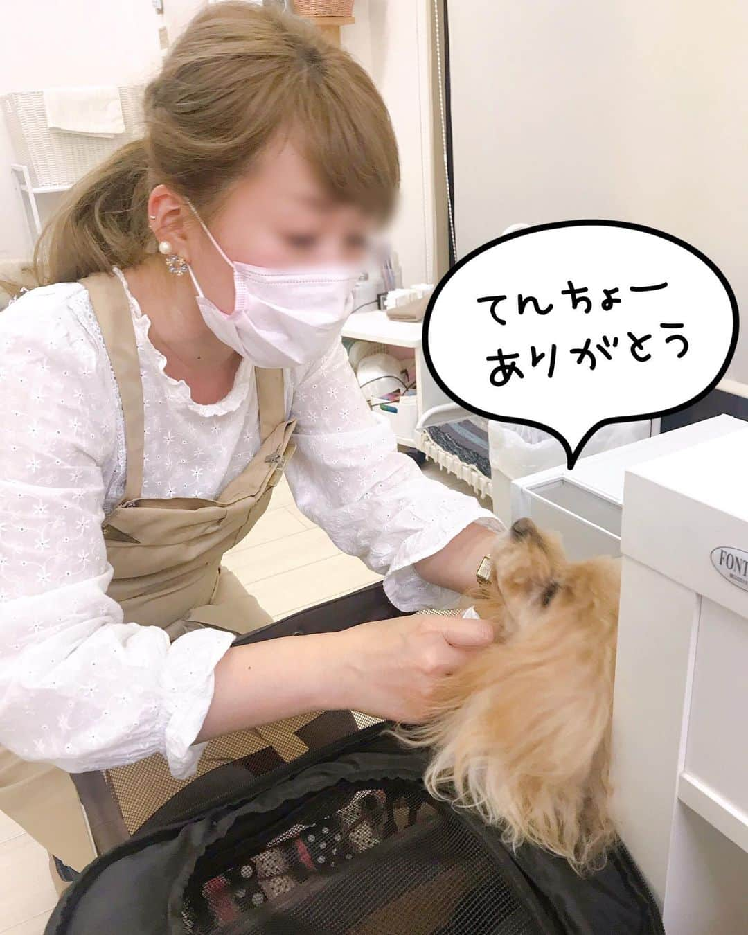 Toypoodle Mikuru?Asakusa Tokyoさんのインスタグラム写真 - (Toypoodle Mikuru?Asakusa TokyoInstagram)「In Ginza nail salon. みくるは久しぶりに、くそばばぁにネイルサロンにつれてってもらいました。 ここには、みくるの大好きな てんちょーさんがいるのに 雨が降るとつれてってくれません。 . 手術後初めててんちょーさんと愛の抱擁💖 みくるは愛されることが生き甲斐なんです😌 . #みくる日記 #みくるんとnail #カリスマネイリスト . ❶-❹ みくるん劇場 妄想かよ？ ❺ お目々拭いてくれる面倒見のいいカリスマ😄 ❻ オニクの夢見ながら待ってます😴 ❼ 前回のnail ❽ 今回のnail . ネイル💅前に ラフくんファミリー @laugh0903 と、しこたま飲んでおりました🍺 千鳥足で銀座へ向かったので 地下鉄乗り間違えて 遅刻しちゃいました😱⬅︎人として最低 ごめんねー🙏🏻🙏🏻🙏🏻😭😣💦 . 20190622 Saturday」6月28日 8時15分 - purapura299